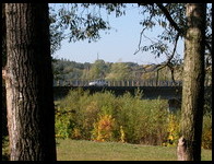 Leśny most (21.IX.2003)
